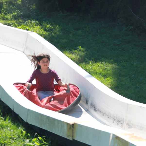 Alpine Slide